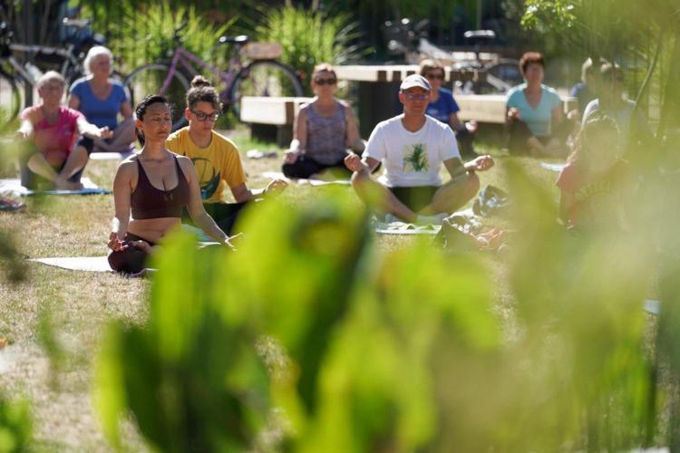 Le Limoni - Climatise Avec Patio Privatif * Brignoles